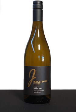 2022 Pinot Gris - Yamhill Vineyard